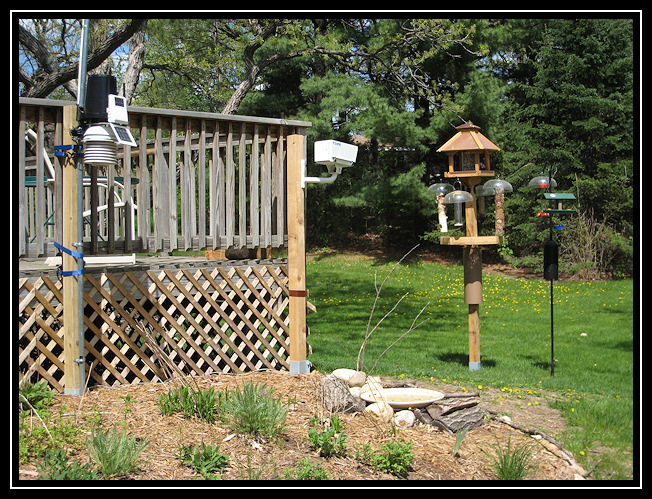 Overlook Circle Feeder Cam